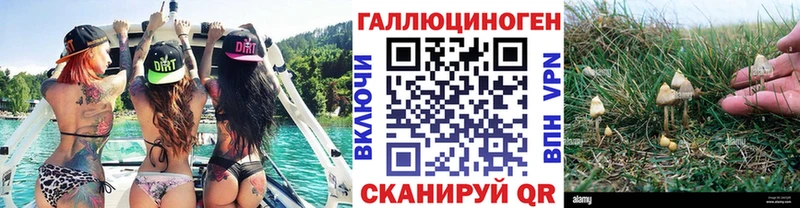 darknet как зайти Берёзовский Псилоцибиновые грибы Cubensis